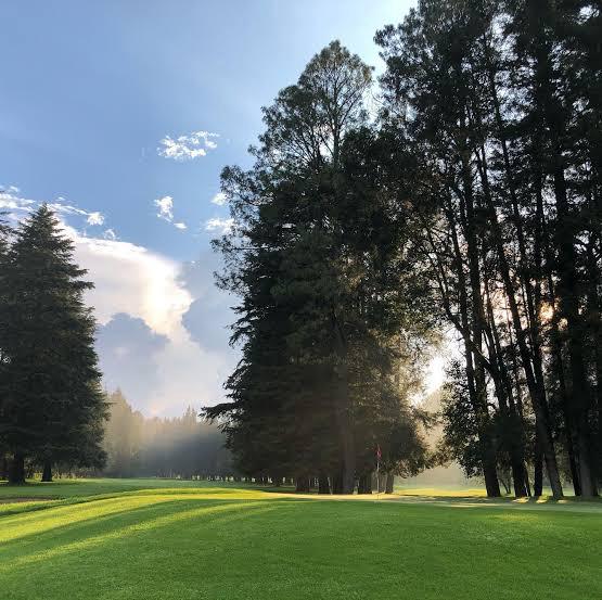 Bosque de pinos al amanecer en Rancho Viejo Club de Golf