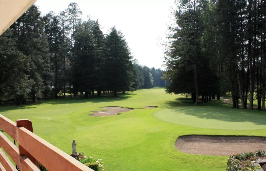 Fairway rodeado de bosque de coníferas