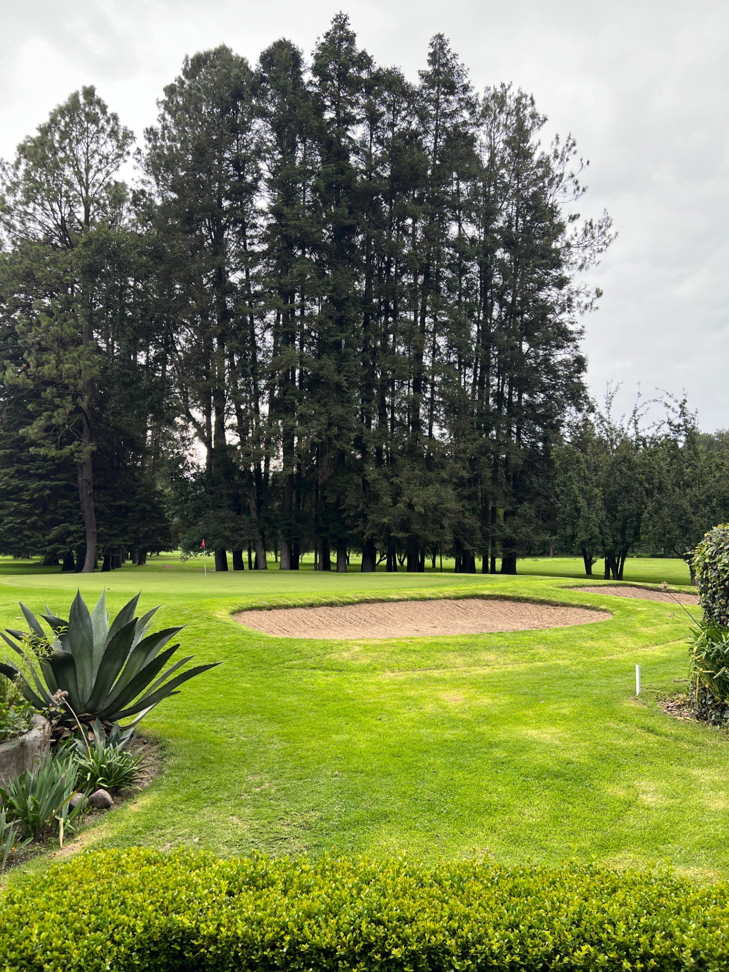 Green y bunker del campo de golf